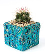 Handmade turquoise square pot with golden pot and cactus.