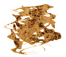 Poster - Spilled black coffee on a white isolated background, blot