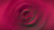 Red Blurred Roses In A Rotating Motion, Moving In Different Directions. Future Background For Business Presentations. Esoterics, Mysticism, Sacred Knowledge 4k. LOOP