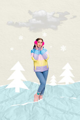 Poster - Photo collage artwork of funky excited lady waiting christmas time coming isolated creative background