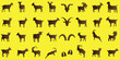 Goat, Vector Illustration, Black Silhouettes, Yellow Background, Different Poses, Angles, Horns, Hooves, Tails Visible