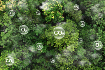 reduce co2 emissions to limit climate change and global warming. tree canopy against oxygen o2 and c