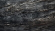Close-up Of Black Wood Structure And Texture Background With Place For Text