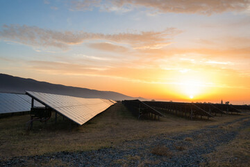 Wall Mural - Solar panels, photovoltaics, alternative source of electricity - concept of sustainable and renewable sources. Low light morning down shot with natural sun reflection and dew drops. Selective focus.