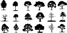 Diverse Tree Silhouettes Vector Illustration, Perfect For Nature, Park, And Landscape Themes. Ideal For Forest Scenery In Graphic Design Projects.