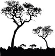 African savanna, silhouette tree vector illustration. Twisted trunk, branches, leaves against white horizon backdrop. Perfect for backgrounds, wallpapers, nature, landscape, travel, adventure, outdoor