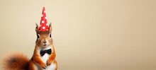 Celebration, Happy Birthday, Sylvester New Year's Eve Party, Funny Animal Banner Greeting Card - Cute Funny Standing Red Squirrel With Party Hat And Bow Tie, Isolated On Beige Background Texture