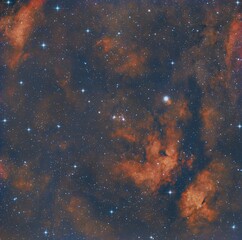 Wall Mural - inchworm nebula ngc6910