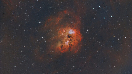 Wall Mural - tadpole nebula ic410