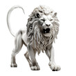 Lion 3d model isolated on transparent and white background. PNG transparent