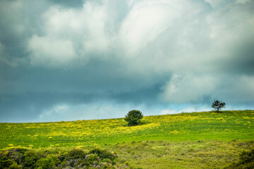 summer countryside landscape, Basilicata, Italy 