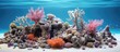 A reef is a coral-filled underwater ecosystem held by calcium carbonate.