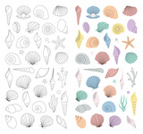 Fototapeta Łazienka - Tropical underwater shells. Sea shells vertical banner. Freshwater algae, corals, starfish, sea mollusks, scallop, pearls. Vector illustration.