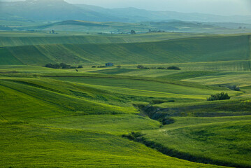 summer countryside landscape, Basilicata, Italy 