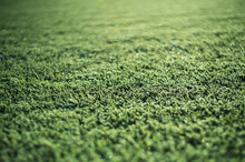 frozen grass on the football pitch