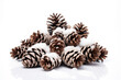Snowy Pine Cones for Christmas on a clean white background