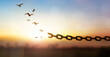 hope freedom concept, Bird flying and broken chains over blurred nature sunrise background