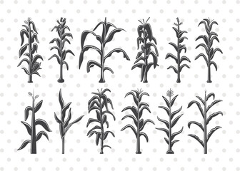 Wall Mural - 
corn stalk svg, corn stalk clipart, corn tree svg, corn svg, corn stalk icon, corn lover svg, corn life svg, corn stalk bundle,
clipart, outline, silhouette, svg cricut, svg cut file,