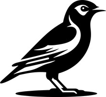 Myna Bird Icon 3
