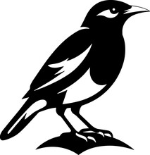 Myna Bird Icon 1