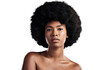 © Suresh/peopleimages.com - Hair, beauty and portrait of black woman with afro on isolated, png and transparent background. Skincare, aesthetic and face of African person with natural texture, growth and cosmetics for wellness