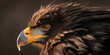 Closeup of an eagle