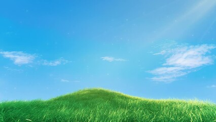 Wall Mural - grass slow loop on blue sky
