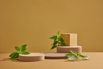 Wall Mural - Scene for cosmetic product presentation with round podiums and fresh leaves of spearmint on brown background. Spearmint leaves are a commonly used ingredient in herbal tea. Herbal ingredient