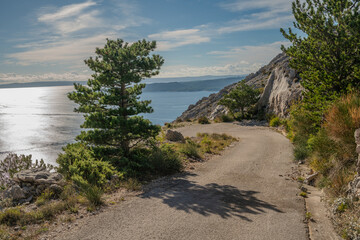 Wall Mural - Asphalt mountain road with a view of the sea-Nature park Biokovo,Croatia.