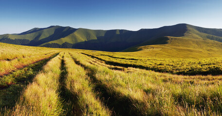 Wall Mural - mountain landscape