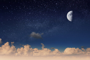 Wall Mural - moon