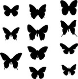 Fototapeta Pokój dzieciecy - set of butterflies,flower, vector, butterfly, pattern, illustration, design, decoration, nature, floral, art, set, leaf, 