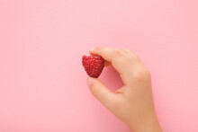 Baby girl hand fingers holding and showing fresh red raspberry on light pink table background. Pastel color. Closeup. Top down view.