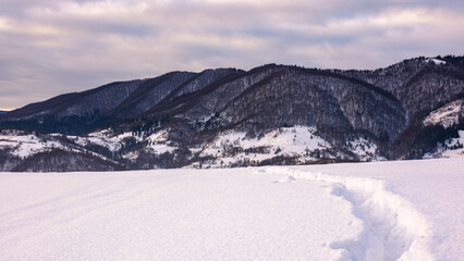 Wall Mural - mountainous winter landscape in morning light. scenery snow covered hills and leafless forest in the