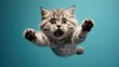 funny cat flying. photo of a playful tabby cat jumping mid-air looking at camera. background with copy space