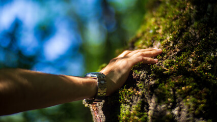 A man's hand touch the tree trunk close-up. Bark wood. Caring for the environment. The ecology concept of saving the world and love nature by human