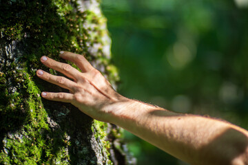 Wall Mural - A man's hand touch the tree trunk close-up. Bark wood. Caring for the environment. The ecology concept of saving the world and love nature by human