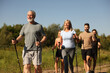 © New Africa - Group of happy people practicing Nordic walking with poles outdoors on sunny day
