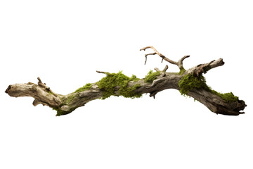 rotten branch covered in green moss. Generative AI.