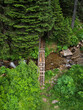 Aerial view above a wooden footbridge made out of logs crossing a rapid river flowing near a coniferous forest. Carpathia, Romania.