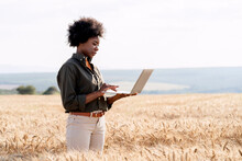Afro Farm Worker Using Laptop Amidst Barley Crops In Field