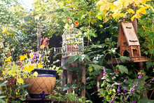 Birdhouse And Birdcage In Lush Autumn Garden