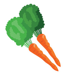 Canvas Print - carrots illustration design