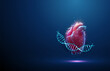 Blue DNA molecule helix with red human heart. Hereditary heart diseases, diagnosis of genetic diseases concept. Low poly