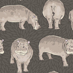 Wall Mural - Seamless pattern with hand drawn hippopotamus. Cartoon animal background. Wallpaper, textile design template. Vector illustration