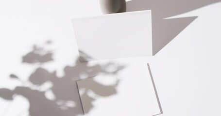 Sticker - Video of shadow of plant over books with blank white pages and copy space on white background