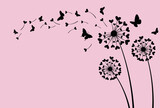 Fototapeta Dmuchawce - Dandelion flower with hearts love concept isolated on pink background. Vector illustration