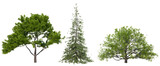 collection PNG transparent tree for dragand drop decoration, 3d illustration rendering