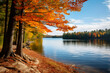 Autumnal forest scene with colorful fall foliage and a serene lake.
