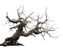 Dead Tree For Halloween Decoration On Transparent Or White Background